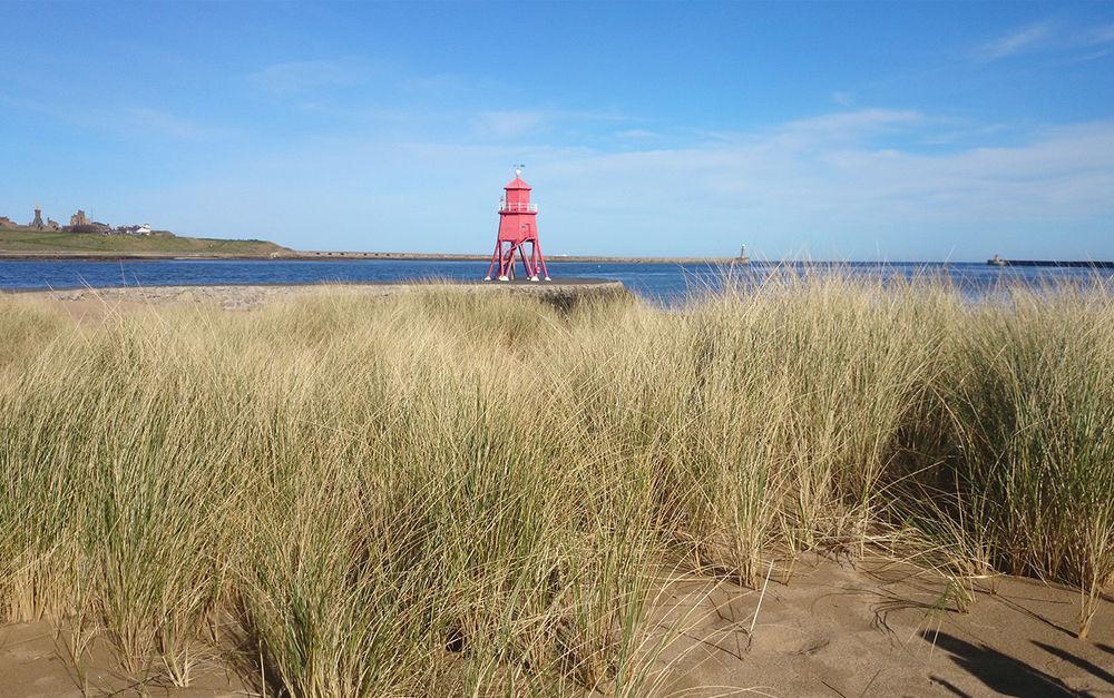 The Little Haven Hotel On The Beach South Shields Exteriör bild